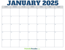Free Blank January 2025 Calendar