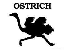 Ostrich Silhouette