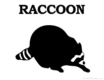 Raccoon Silhouette