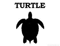Turtle Silhouette