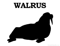Walrus Silhouette