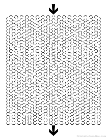 Printable Hexagon Maze -Difficult