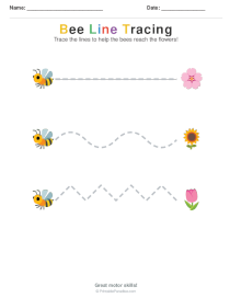 Insect Tracing Worksheets