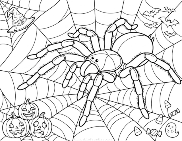 Printable Halloween Spider Coloring Page